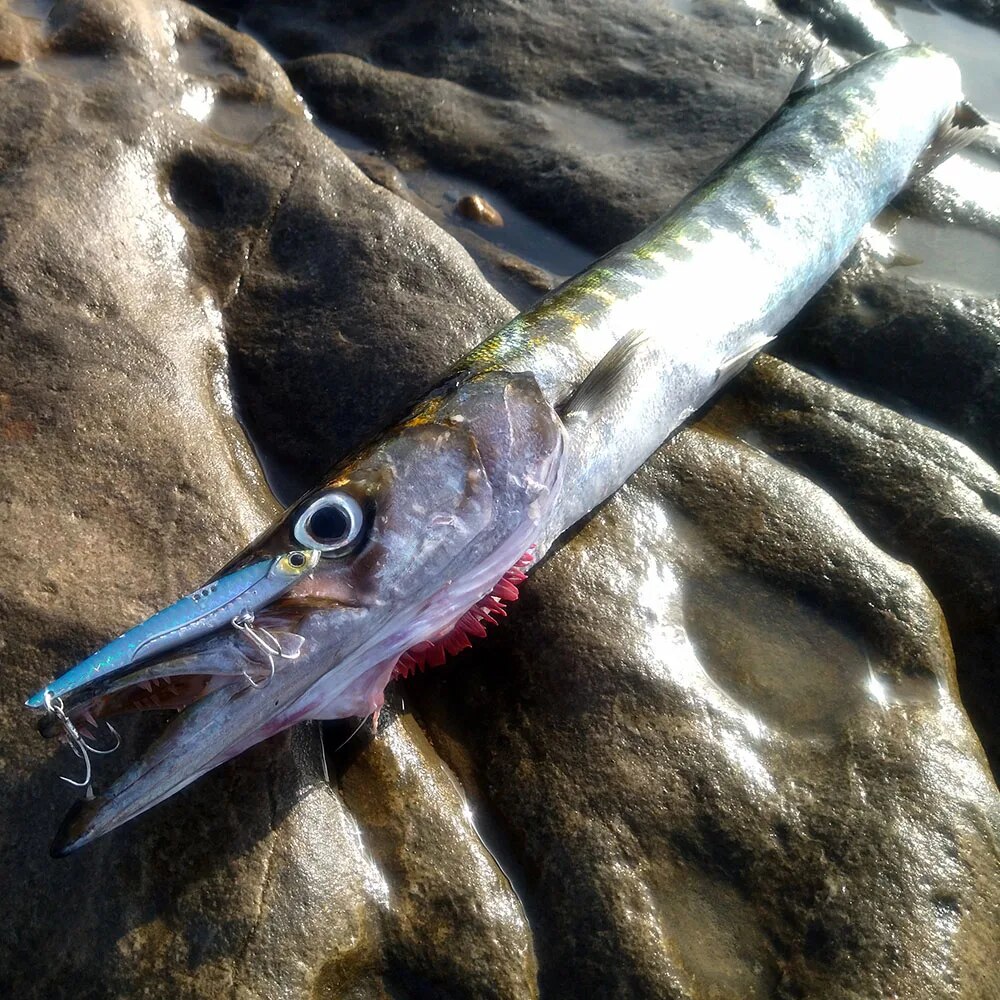 GOBAIT VIB Fishing Lure 20g 25 - Fishing Hook Treble recension och pris
